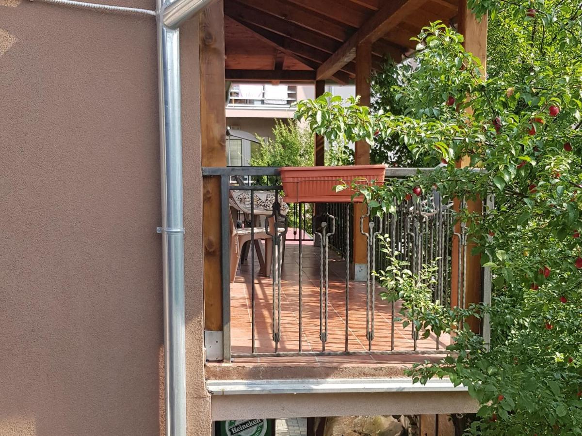 Apartmani V&F Vrnjačka Banja Dış mekan fotoğraf