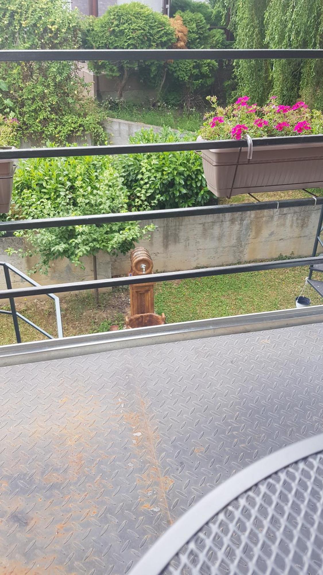 Apartmani V&F Vrnjačka Banja Oda fotoğraf