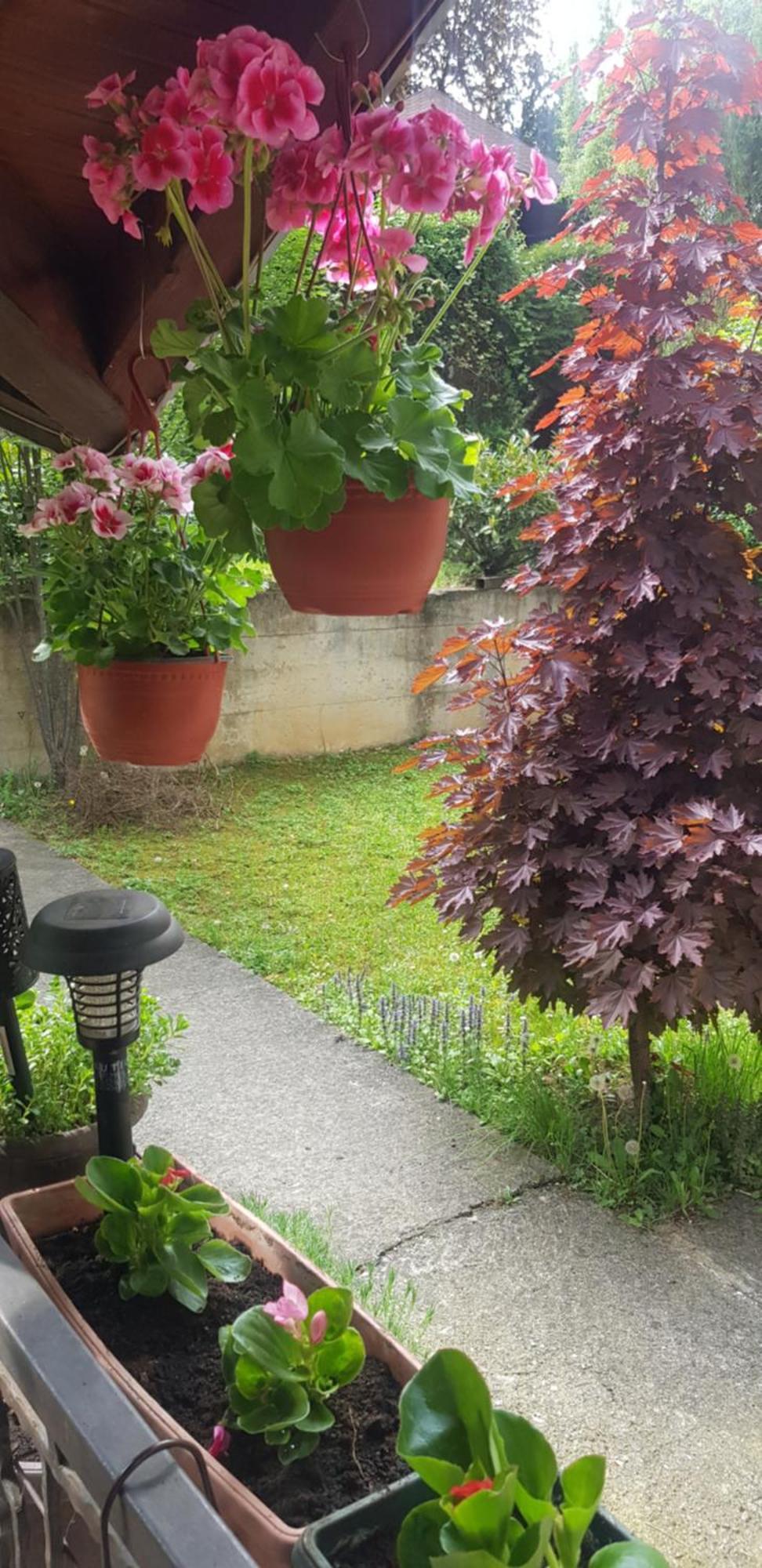 Apartmani V&F Vrnjačka Banja Dış mekan fotoğraf