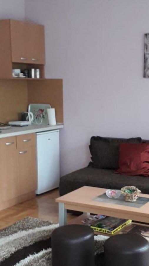 Apartmani V&F Vrnjačka Banja Dış mekan fotoğraf